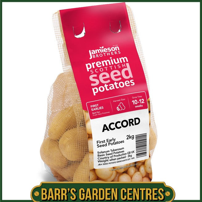 Accord Potatoes 2KG