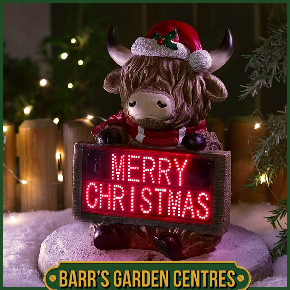 Highland Cow Merry Christmas