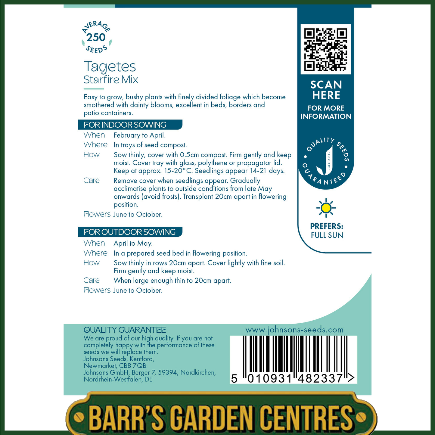 Johnsons - Trachelium Black Knight - 15 Seeds