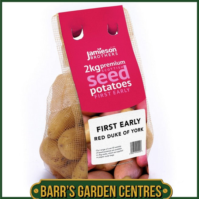 Red Duke of York Seed Potatoes 2KG