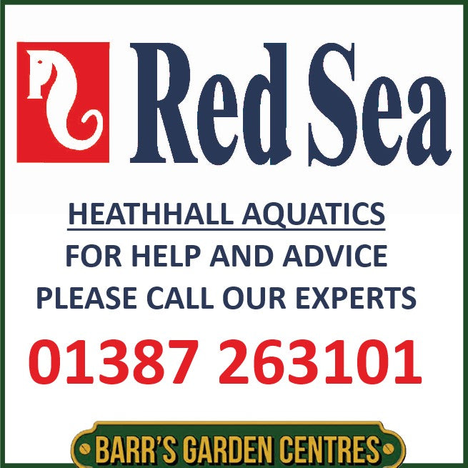 Red Sea Reefer 170 G3 Black or White