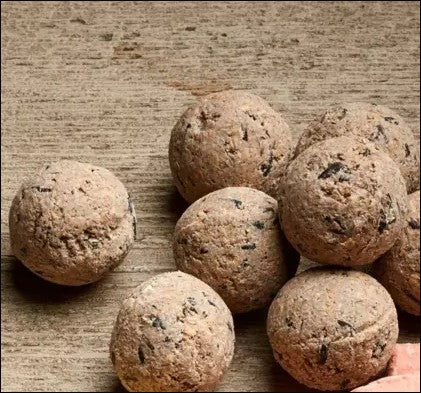 Gardman Fat Snax 6 Pack