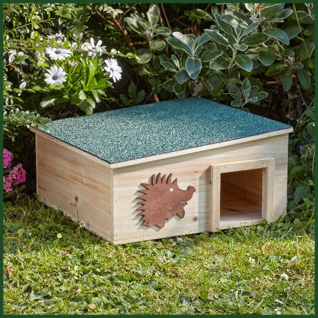 Hedgehog Home Natural Habitat