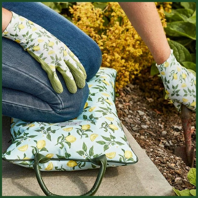 Sicilian Lemon Kneeler Pillow