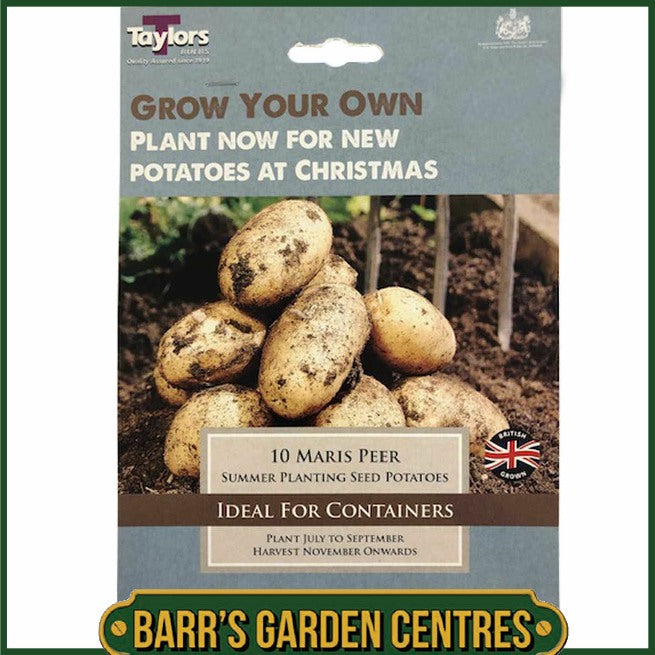 Taylors Bulbs - Winter Maris Peer Seed Potato