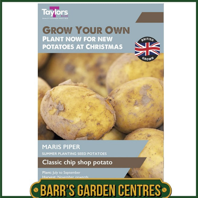 Taylors Bulbs - Winter Maris Piper Seed Potato