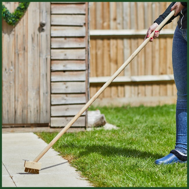 Patio Brush + Spare Head