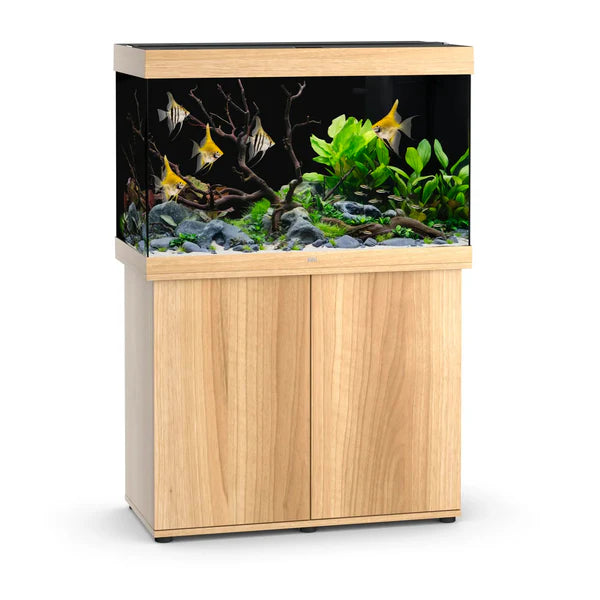 Juwel Rio 290 Aquarium