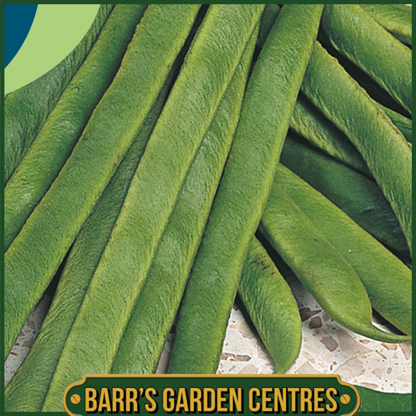 Johnsons - Runner Bean Armstrong - 40 Seeds