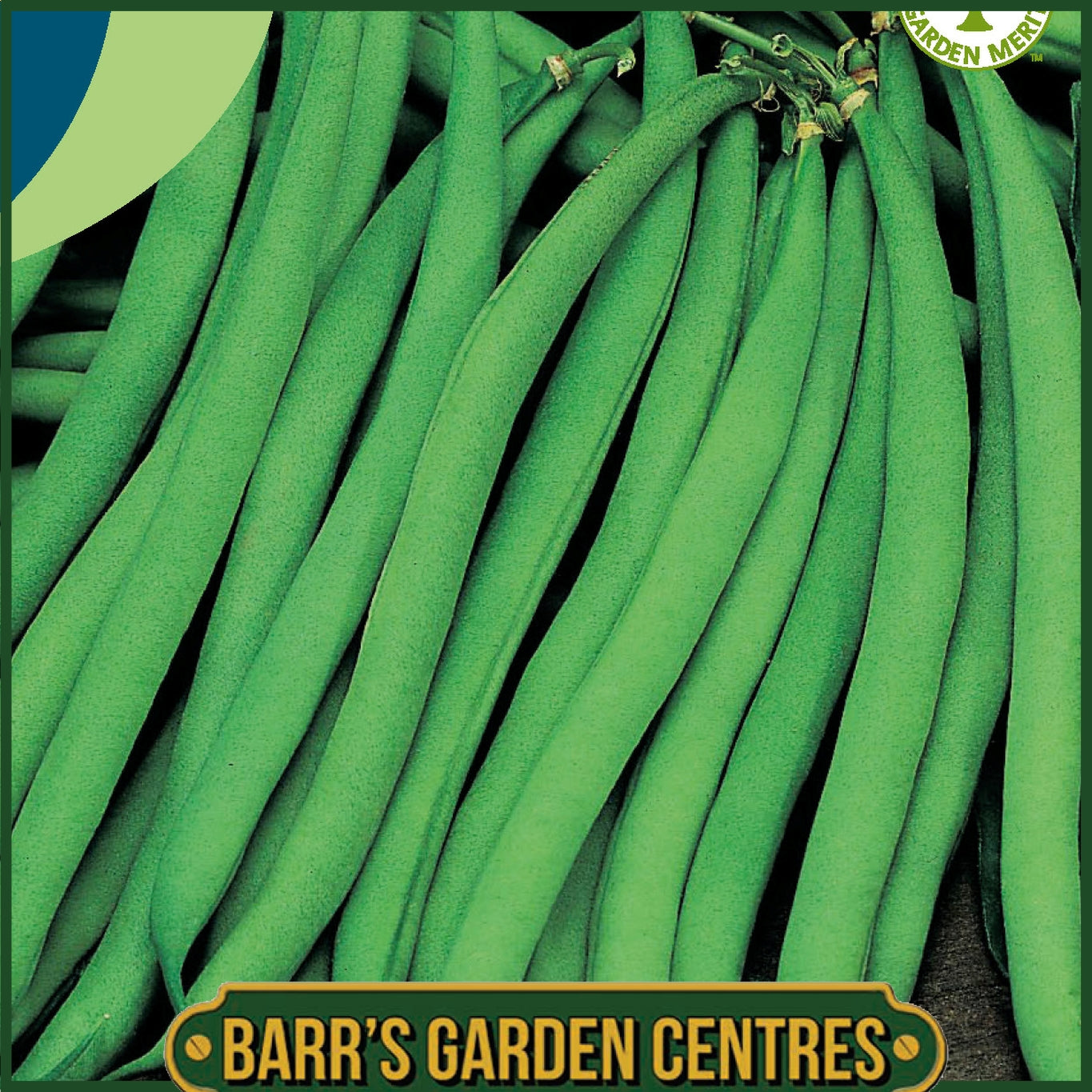 Johnsons - Dwarf French Bean asman - 100 Seeds