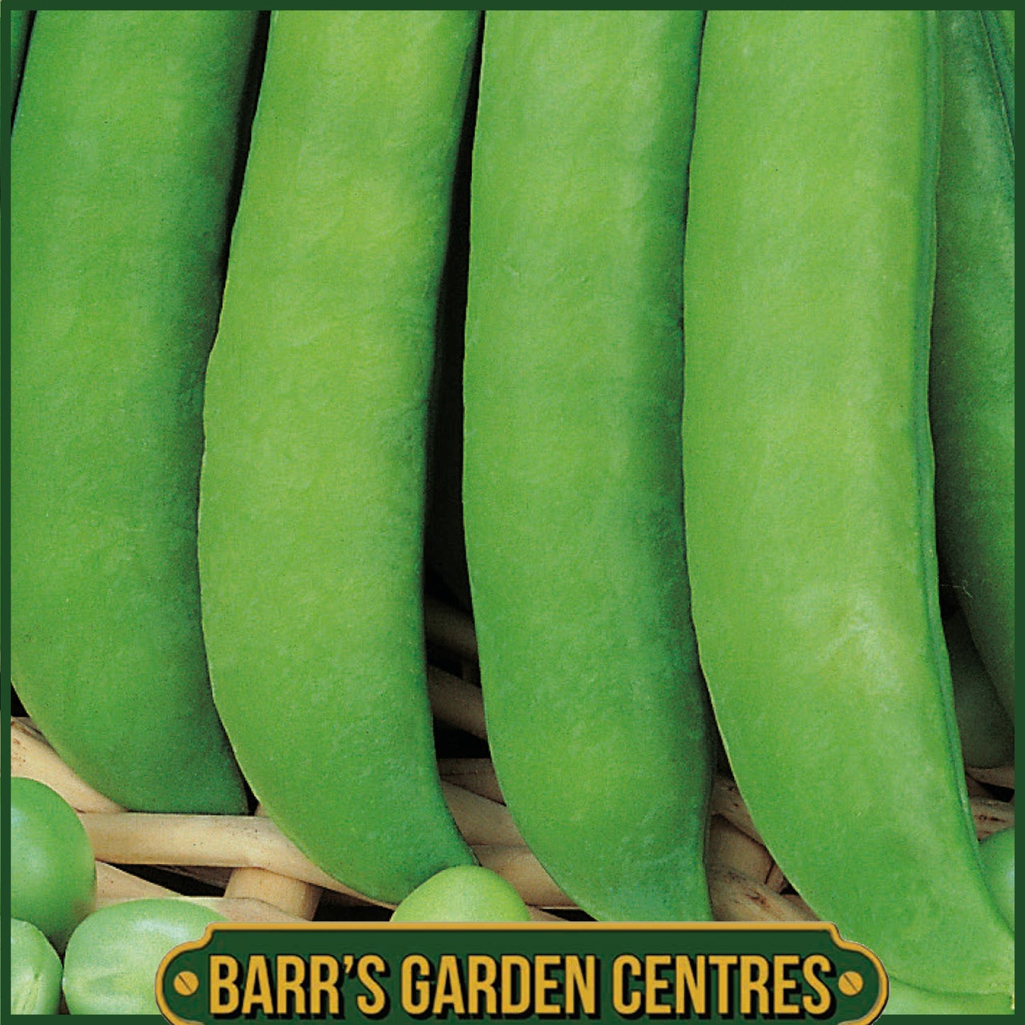 Johnsons - Pea (early) Douce Provence - 250 Seeds