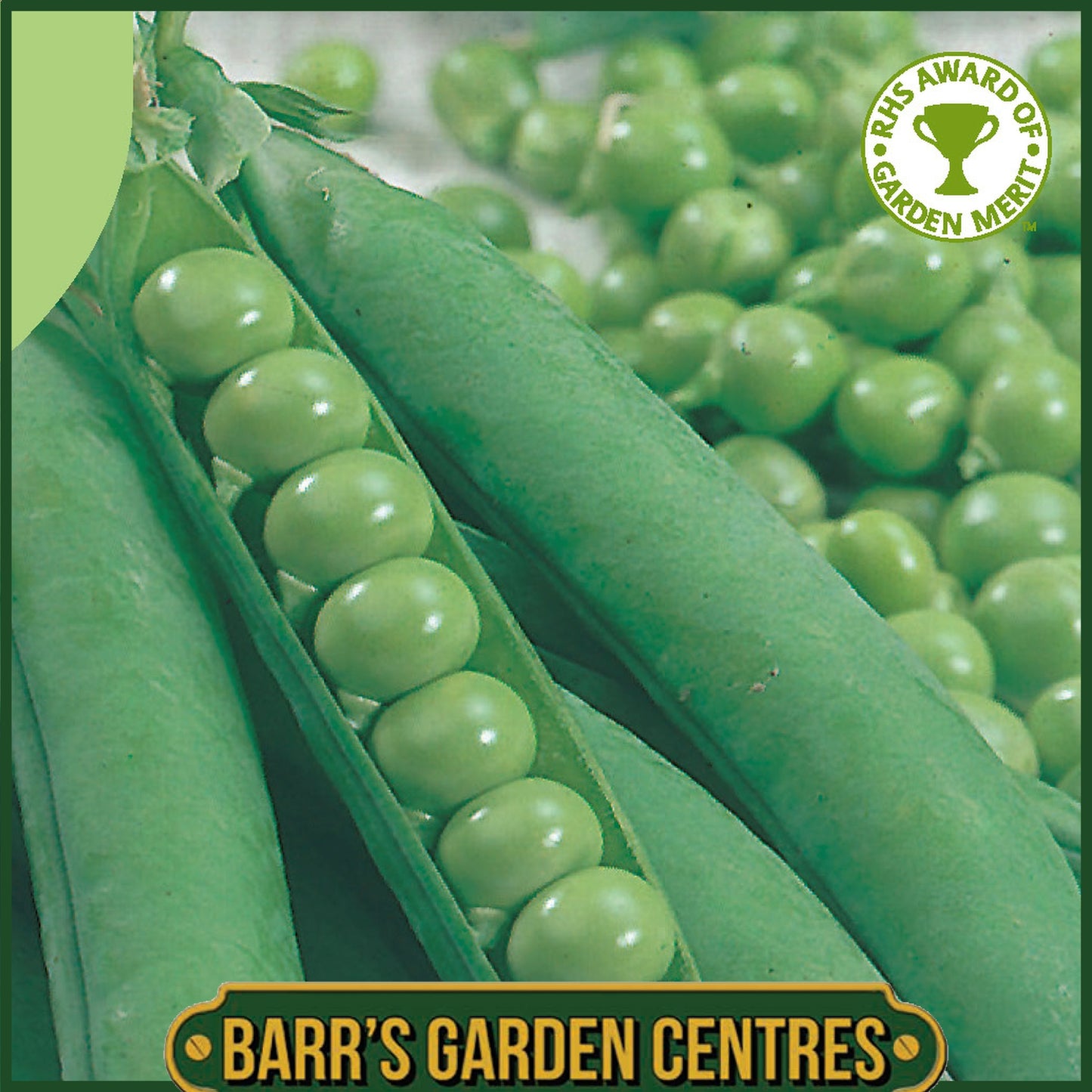 Johnsons - Pea (early) Kelvedon Wonder - 350 Seeds