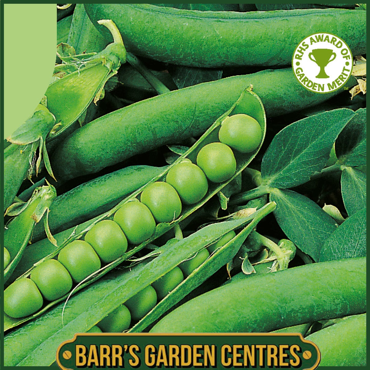 Johnsons - Pea (maincrop) Hurst Green Shaft - 400 Seeds