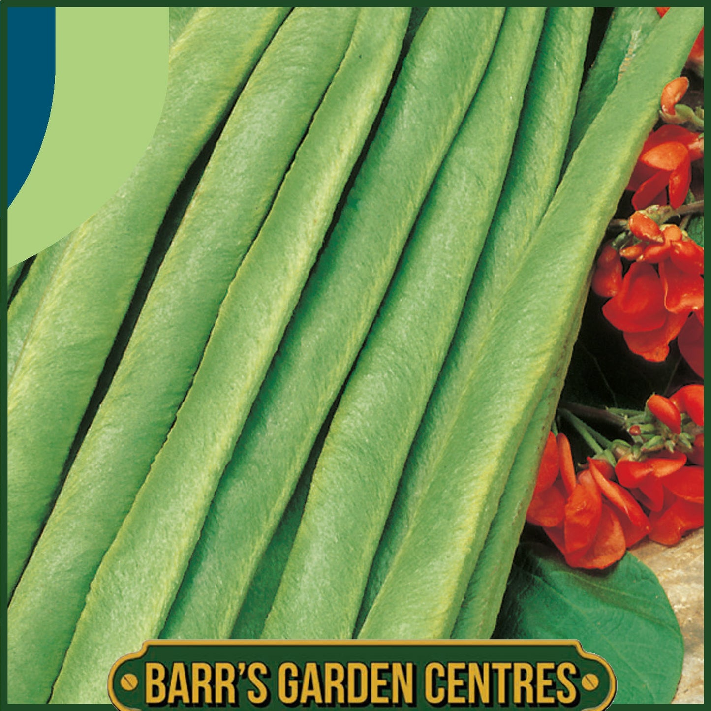 Johnsons - Runner Bean Lady Di - 40 Seeds