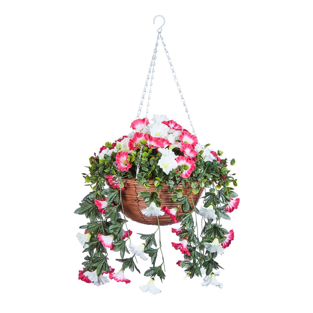 Smart Garden Regal Hanging Basket - Summer Bloom