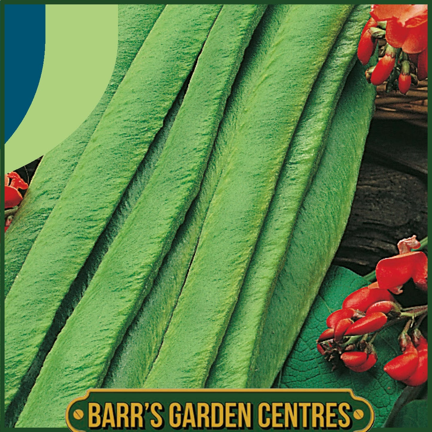 Johnsons - Runner Bean Polestar - 40 Seeds