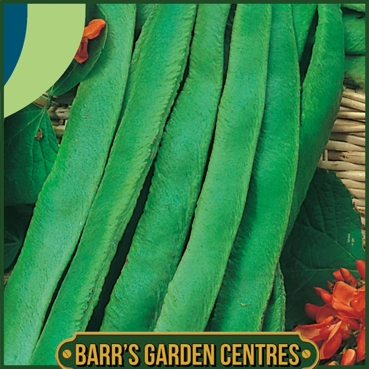 Johnsons - Runner Bean Scarlet Emperor - 40 Seeds