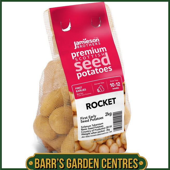 Rocket Potatoes 2KG