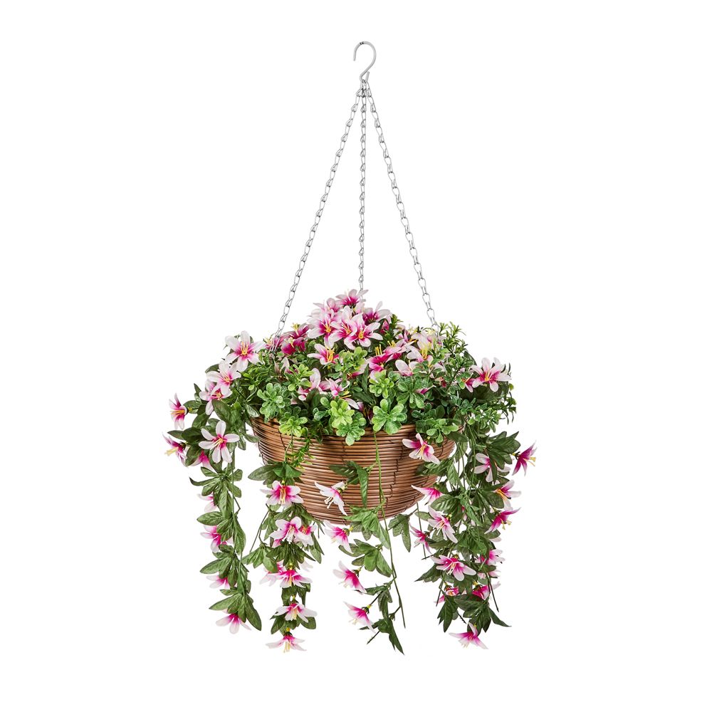 Smart Garden Regal Hanging Basket - Star Glazing Lilies