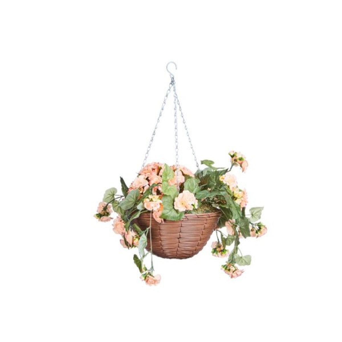 Smart Garden Regal Hanging Basket - Begonia Blooms