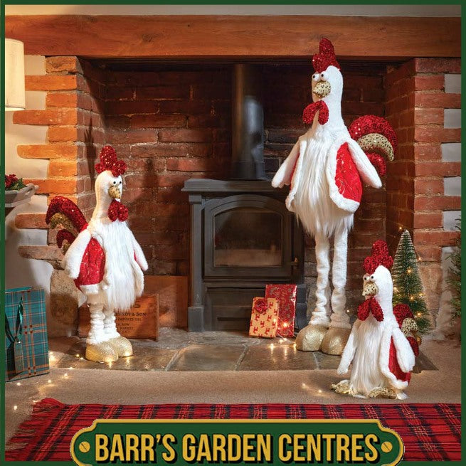 Three Kings Sir Cluck-a-Lot