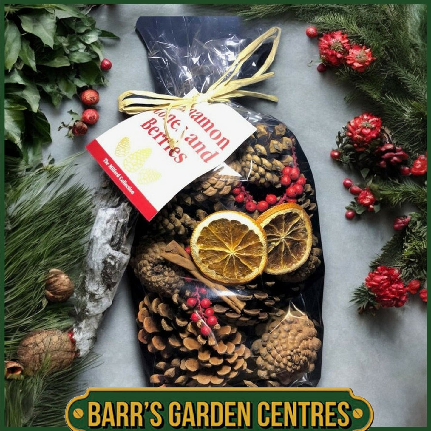 The Milford Collection Cinnamon and Berries Pot Pourri