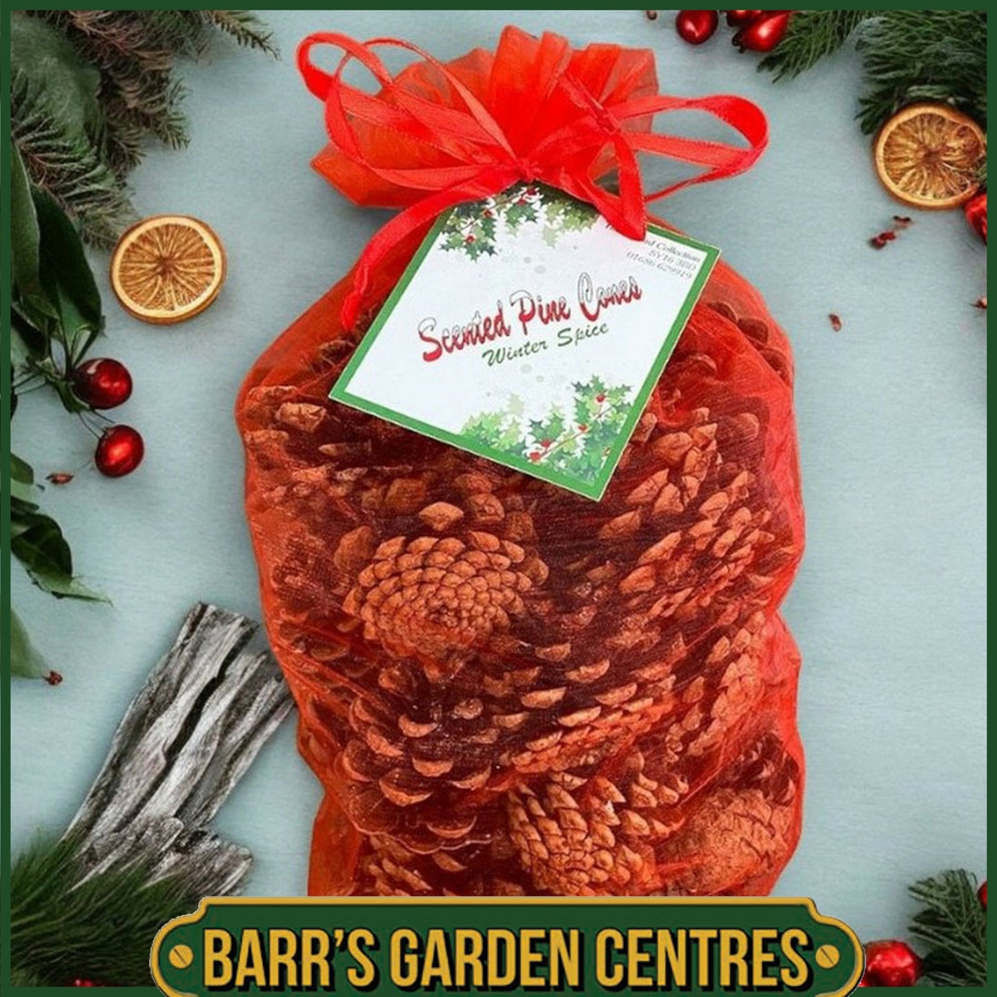 The Milford Collection Scented Christmas Pine Cones