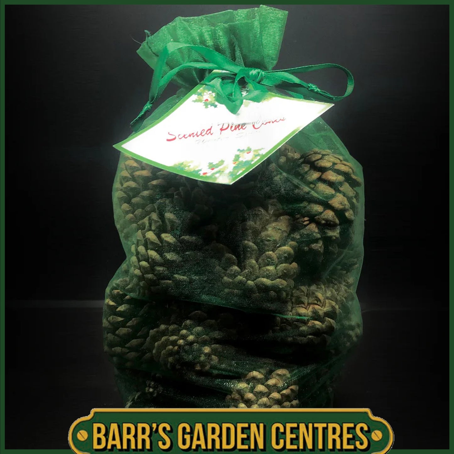 The Milford Collection Scented Christmas Pine Cones