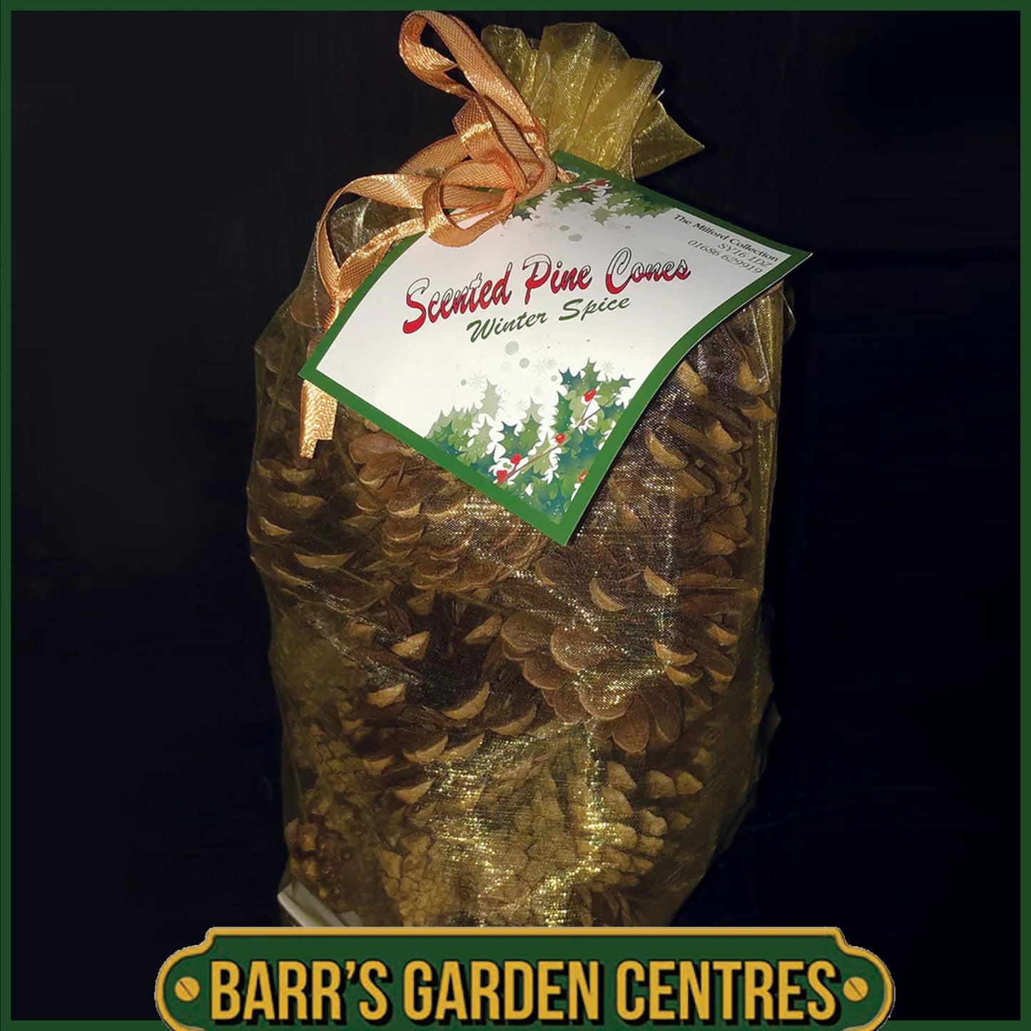 The Milford Collection Scented Christmas Pine Cones