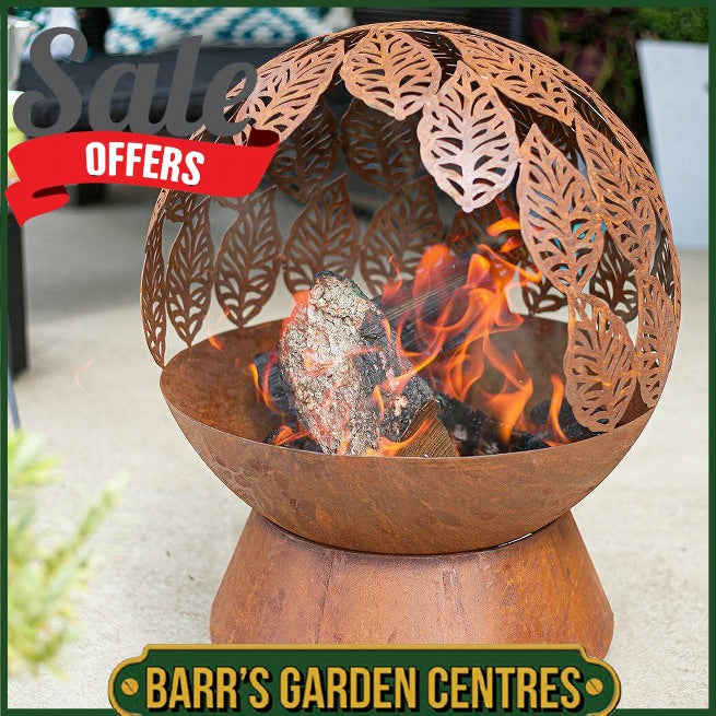 La Hacienda Leaves Fire Globe