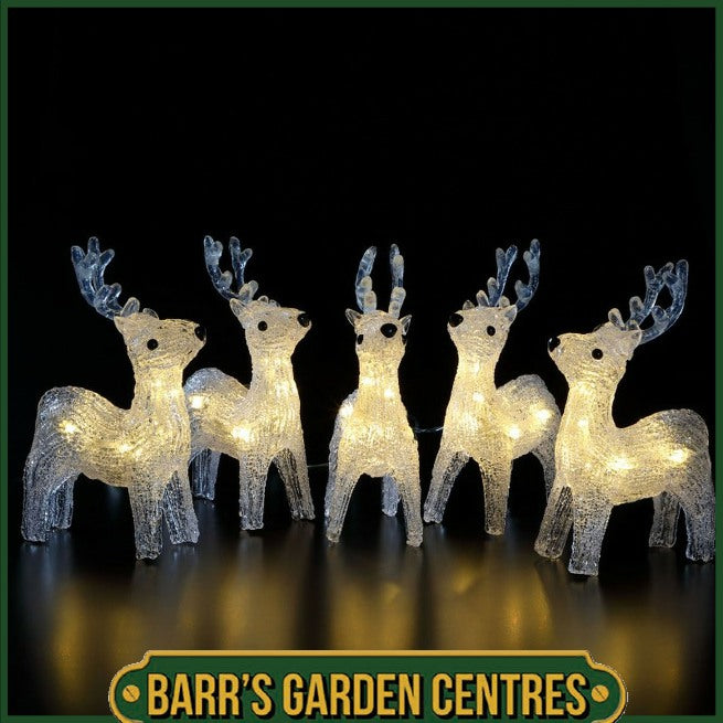 NOMA 5 Acrylic Reindeer Chain