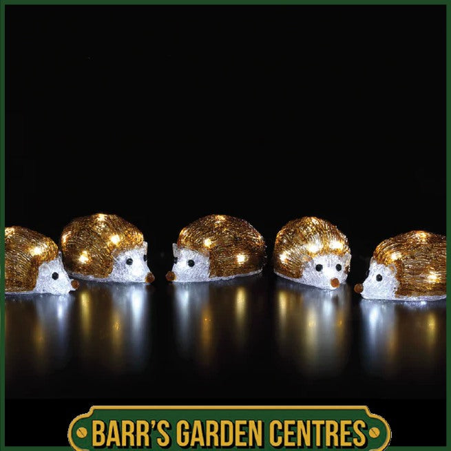 NOMA 5 Acrylic Hedgehog Festive Light Chain