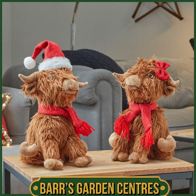 Three Kings Hairy Hector