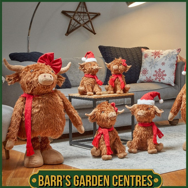 Three Kings Hairy Hector