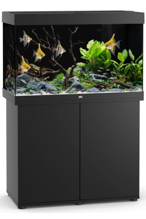 Juwel Rio 290 Aquarium