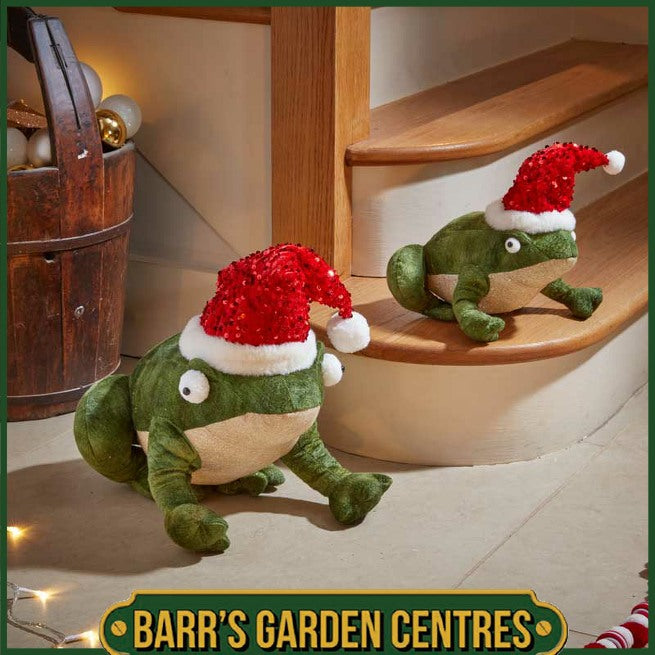 Three Kings Festive Frog - Regular or Large