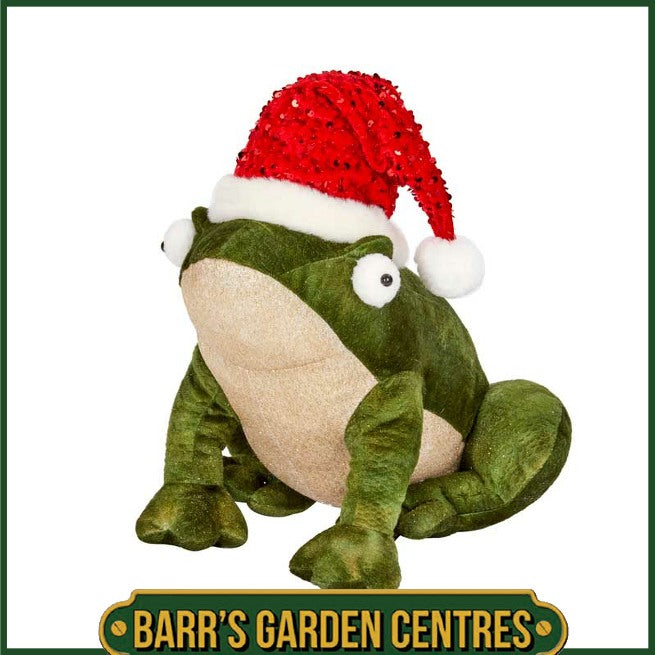 Three Kings Festive Frog - Regular or Large