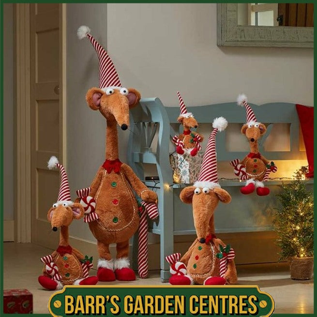 Three Kings Gingerbread Alpha Rat 140cm