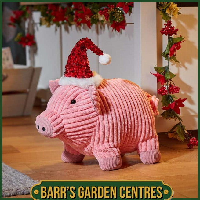 Three Kings Polly Pig