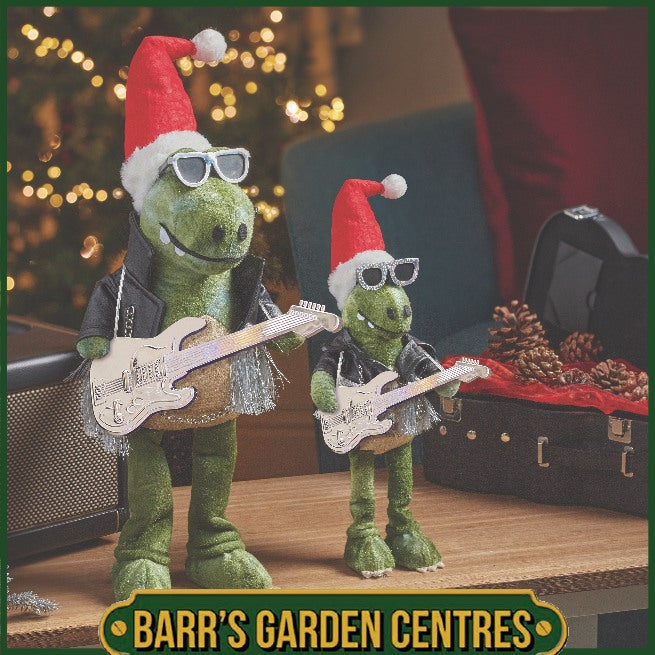 Three Kings DinoRock Regular or Large