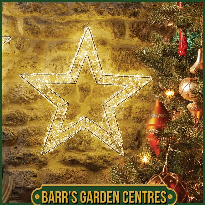 Three Kings 1440 LED Galaxy Star