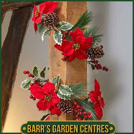 Three Kings Poinsettia Garland - 180cm / 6ft