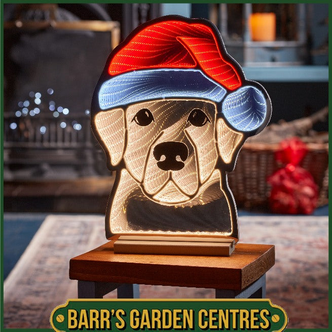 Three Kings Christmas Dog Infinity Mirror Light