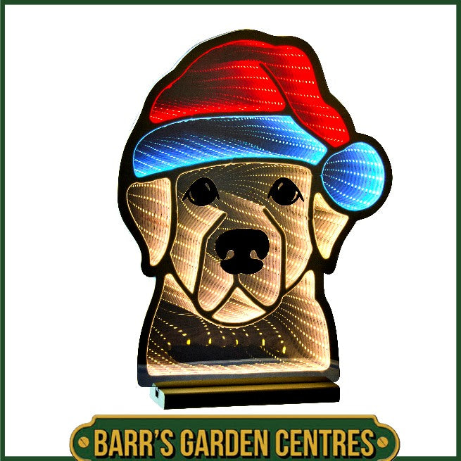 Three Kings Christmas Dog Infinity Mirror Light
