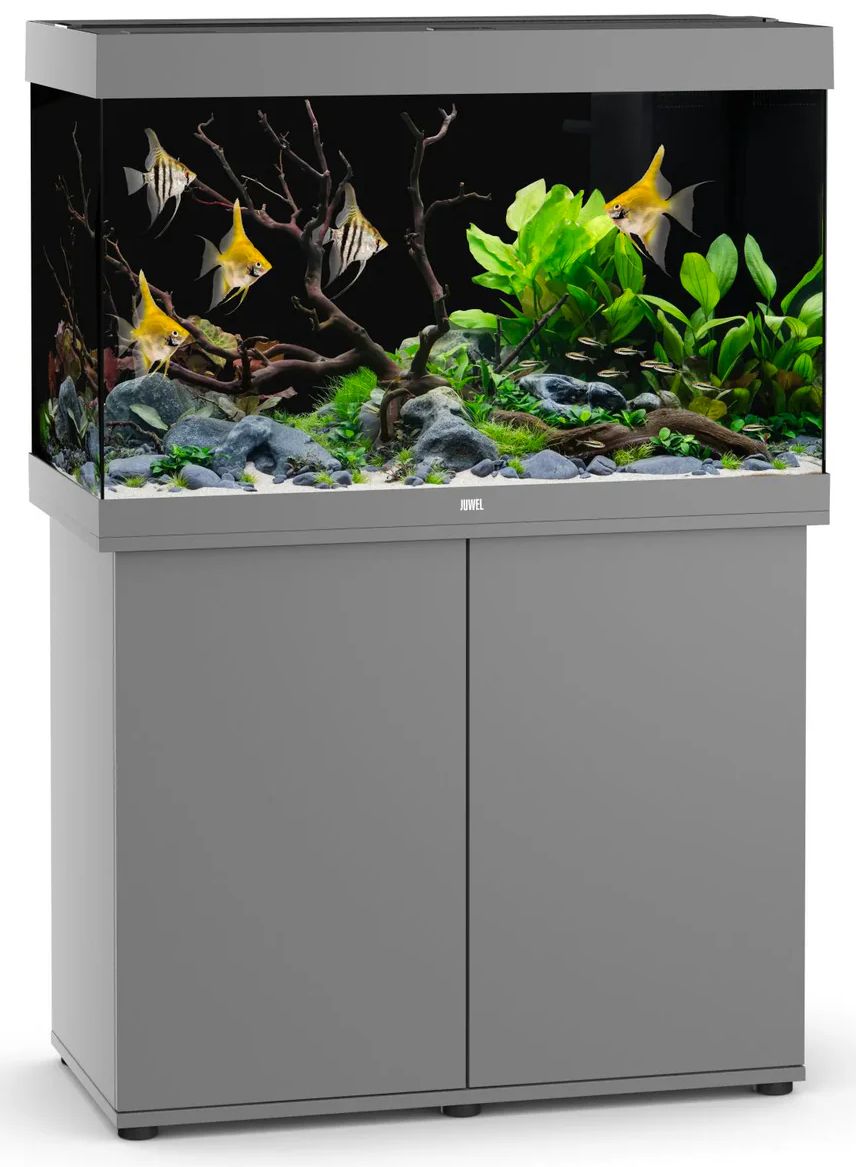 Juwel Rio 290 Aquarium