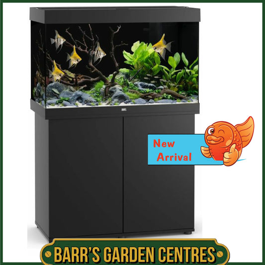 Juwel Rio 290 Aquarium