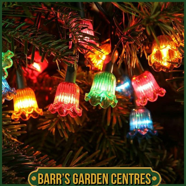 Noma 80 LED Classic Canterbury Belle Multicolour Lights