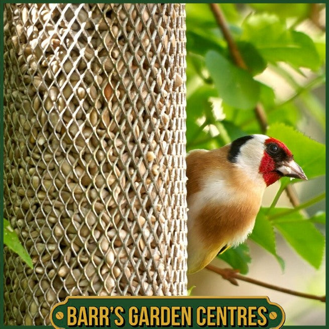 Peckish All Weather Sunflower Heart Feeder