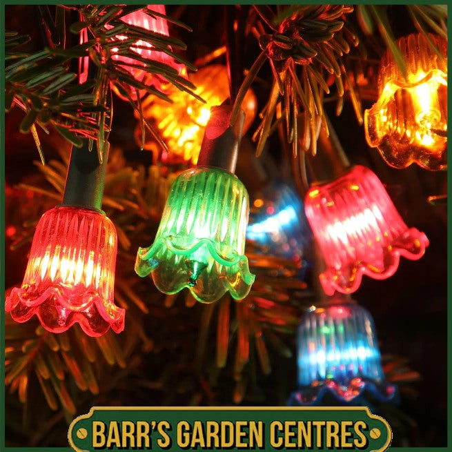 Noma 80 LED Classic Canterbury Belle Multicolour Lights