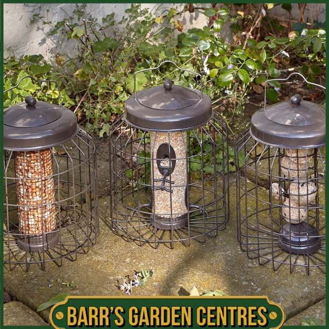 Gardman Heavy Duty Squirrel Proof Fat Snax Feeder